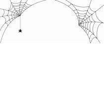 “世界最大のクモの巣”発見、約31坪強に11万匹が在住