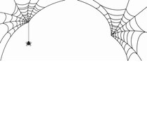 “世界最大のクモの巣”発見、約31坪強に11万匹が在住