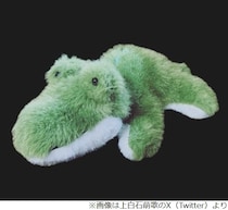 上白石萌歌がSNSプロフィール画像を“ワニ”に変更、「なぜ…」「100日後に…」の声