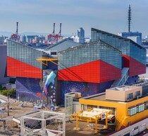 北川景子「家族で海遊館に3年連続行ってる」、朝ドラの撮影もあり大阪にはよく行く