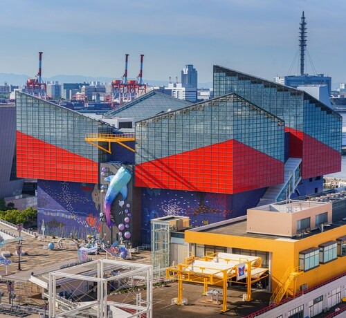 北川景子「家族で海遊館に3年連続行ってる」、朝ドラの撮影もあり大阪にはよく行く