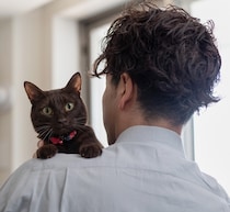 猫は“男性の飼い主”により騒がしくなる、女性のほうが猫との会話に長けている可能性