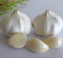 “ニンニク抽出物”細菌対策のマウスウォッシュとして最適かも？