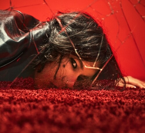 米津玄師の“紅白歌合戦出場”発表、大ヒット曲「IRIS OUT」を初パフォーマンス