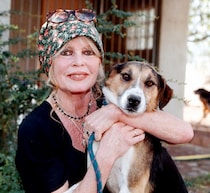 “名女優”ブリジット・バルドーが死去、多くの著名人から悲しみの声