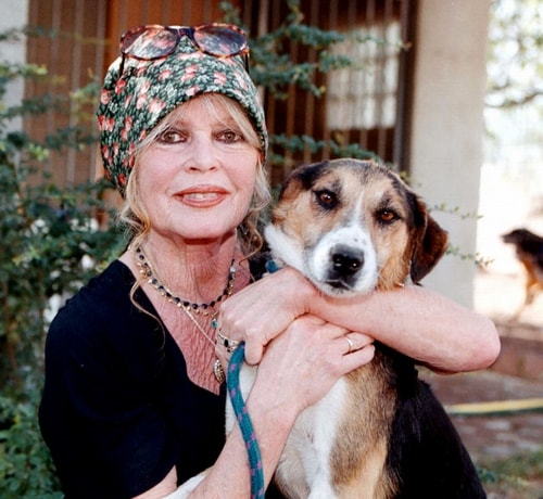 “名女優”ブリジット・バルドーが死去、多くの著名人から悲しみの声