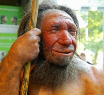 初期の人類“人食い”だった可能性、骨分析の結果「調理された後に食された」