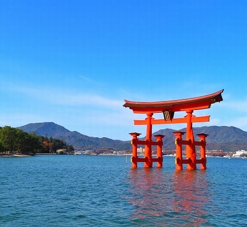 小園海斗、広島に入団してビックリしたこと「2軍の寮から厳島神社が見える」