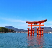 小園海斗、広島に入団してビックリしたこと「2軍の寮から厳島神社が見える」