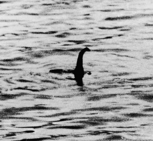 ネッシーを50年以上探し続けた男「いないかも…」でも生涯かけたことに悔いなし