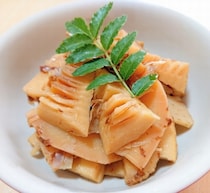 タケノコ、実はすごいかも…健康効果続々“スーパーフード”としての地位確立の可能性