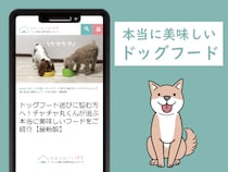 ドッグフード選びに悩む方へ！チャチャ丸くんが選ぶ本当に美味しいフードをご紹介
