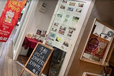 新宿占いラッキーキャット