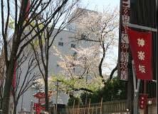 占い処 神楽坂大神の外観イメージ