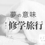 修学旅行の夢の意味！どんなシーンかで読み解ける暗示【夢占い】