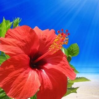 ナユタ先生のイメージ