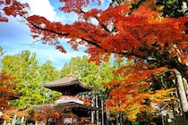 和歌山の霊視占い師・霊能者おすすめ6選【完全ガイド】