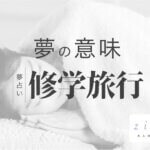 修学旅行の夢の意味！どんなシーンかで読み解ける暗示【夢占い】