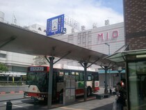 和歌山で占い！よく当たる占い店・占い師【完全ガイド】