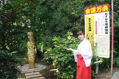 下野星宮神社　あすなろ龍神御柱