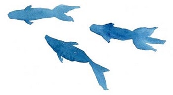 魚が三匹泳いでいるイラスト