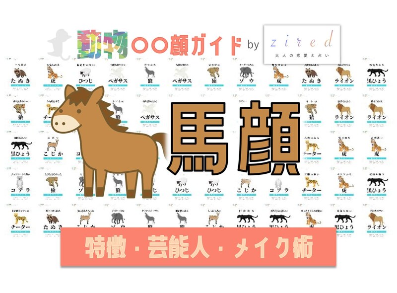 馬顔タイプ完全ガイド｜特徴・診断・芸能人・メイク術