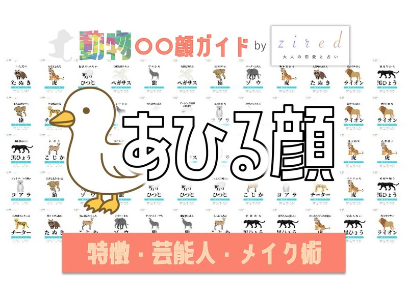 アヒル顔タイプ完全ガイド｜特徴・診断・芸能人・メイク術