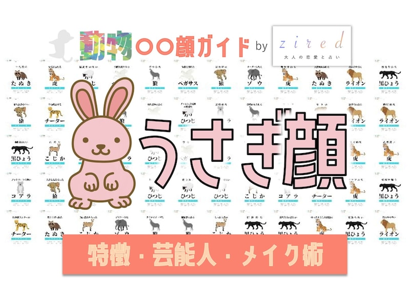 うさぎ顔タイプ完全ガイド｜特徴・診断・芸能人・メイク術