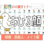 アヒル顔タイプ完全ガイド｜特徴・診断・芸能人・メイク術