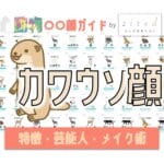 カワウソ顔タイプ完全ガイド｜特徴・診断・芸能人・メイク術
