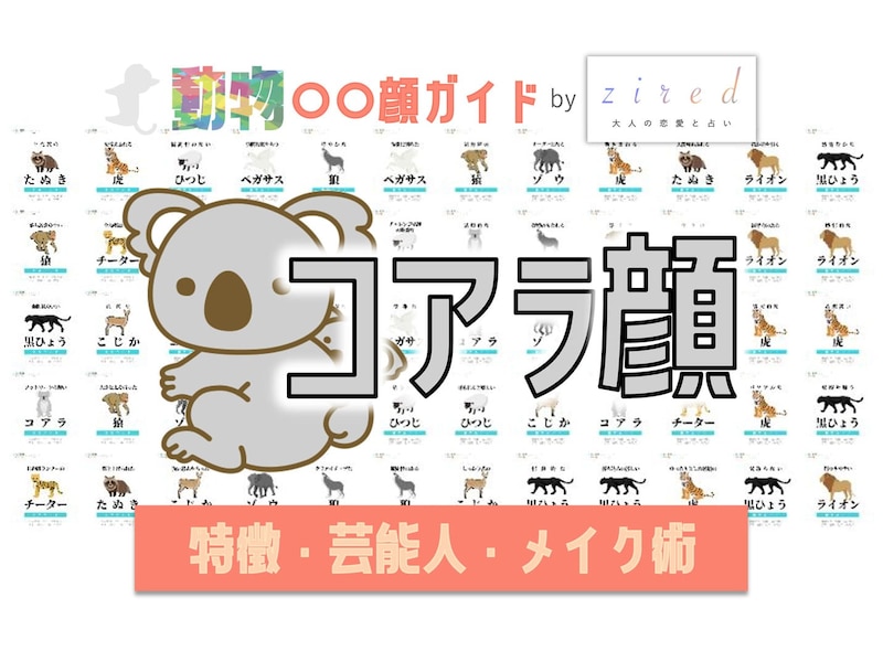 コアラ顔タイプ完全ガイド｜特徴・診断・芸能人・メイク術