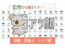 コアラ顔タイプ完全ガイド｜特徴・診断・芸能人・メイク術