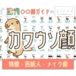 カワウソ顔タイプ完全ガイド｜特徴・診断・芸能人・メイク術