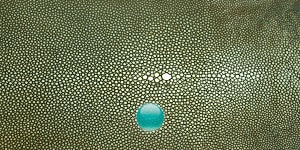 エイ革の緑の財布