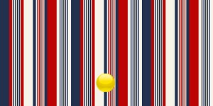 赤白青のストライプ柄の財布