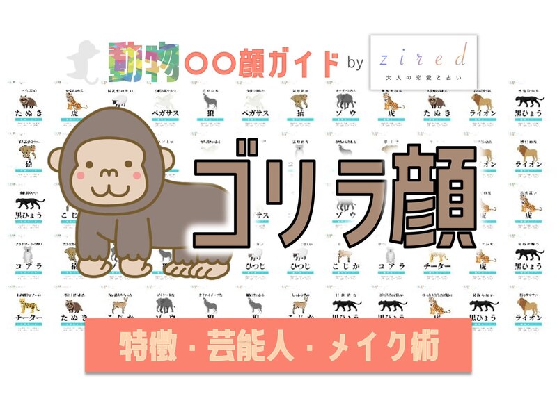 ゴリラ顔タイプ完全ガイド｜特徴・診断・芸能人・メイク術