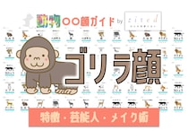 ゴリラ顔タイプ完全ガイド｜特徴・診断・芸能人・メイク術