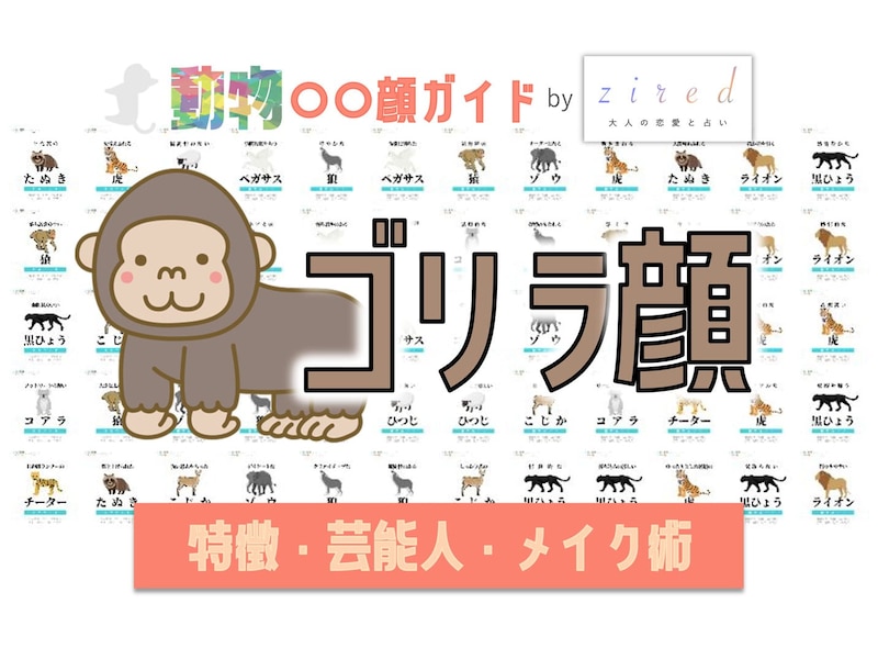 ゴリラ顔タイプ完全ガイド｜特徴・診断・芸能人・メイク術