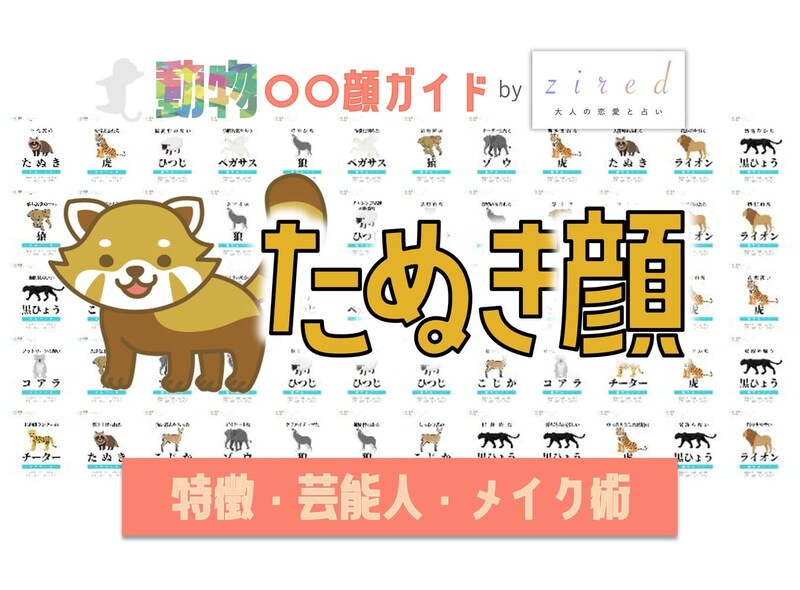 たぬき顔タイプ完全ガイド｜特徴・診断・芸能人・メイク術