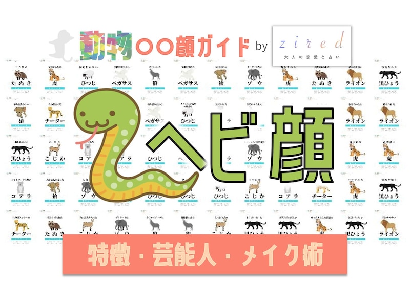 ヘビ顔タイプ完全ガイド｜特徴・診断・芸能人・メイク術