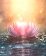 エキサイト愛寿湖