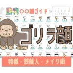ゴリラ顔タイプ完全ガイド｜特徴・診断・芸能人・メイク術