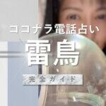 ココナラ 雷鳥先生に鑑定してもらった結果は？【口コミ・鑑定評価】