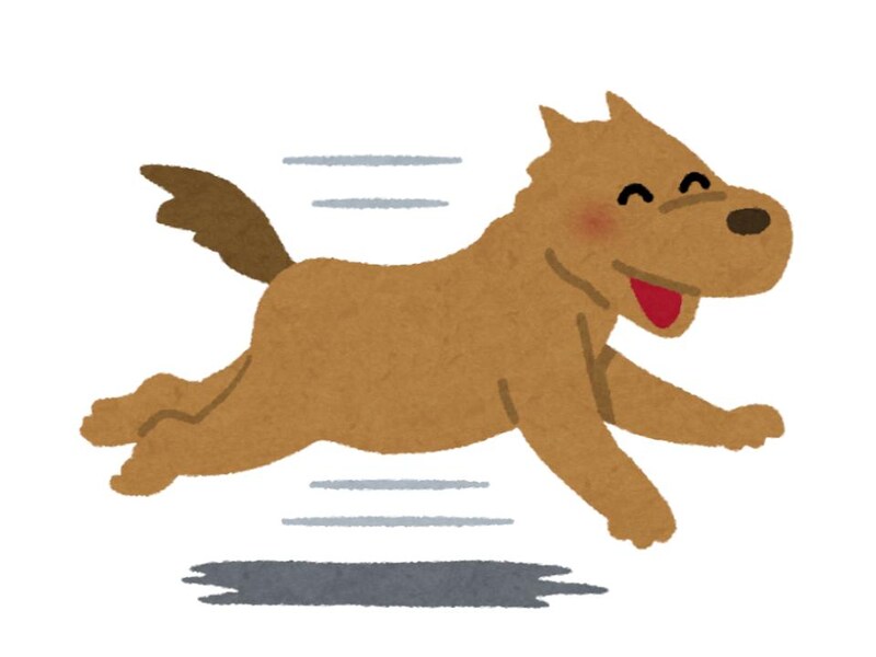 わんぱく元気タイプ