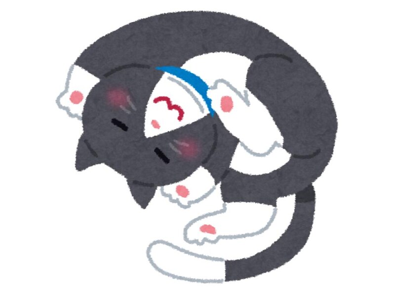 単独行動が好きな自由人