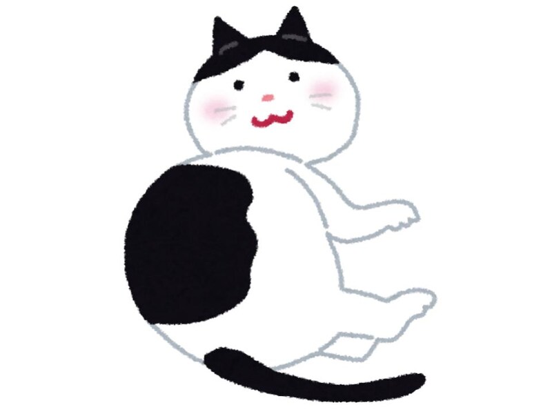 無口で繊細な隠れ甘えん坊