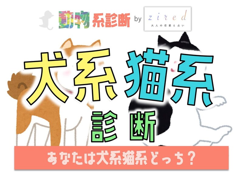 【犬系猫系診断】あなたは犬系？猫系？