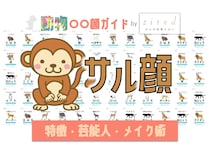 猿顔タイプ完全ガイド｜特徴・診断・芸能人・メイク術