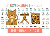 犬顔タイプ完全ガイド｜特徴・診断・芸能人・メイク術