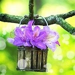 電話占いリエル　早花